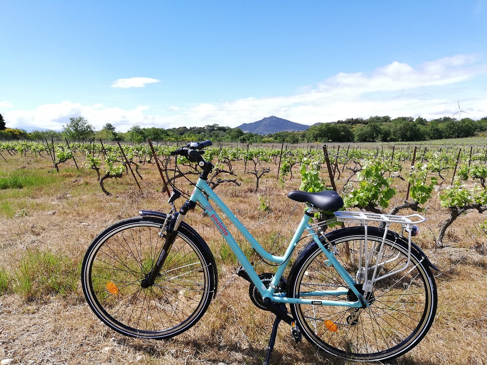 velo toulouse